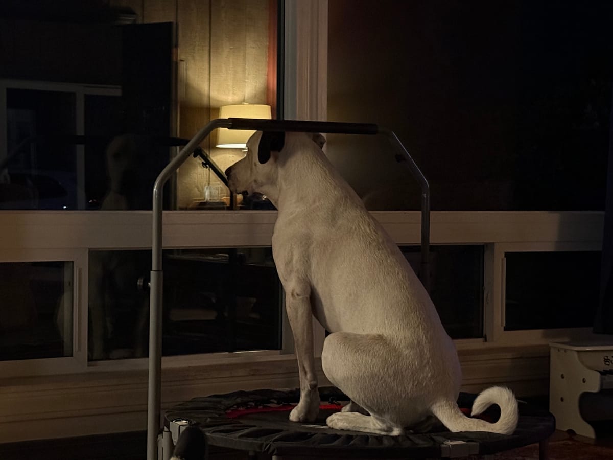 Fast vs Slow Money, TSLA Vote, CRCL, Waymo vs Robotaxi, and Much More