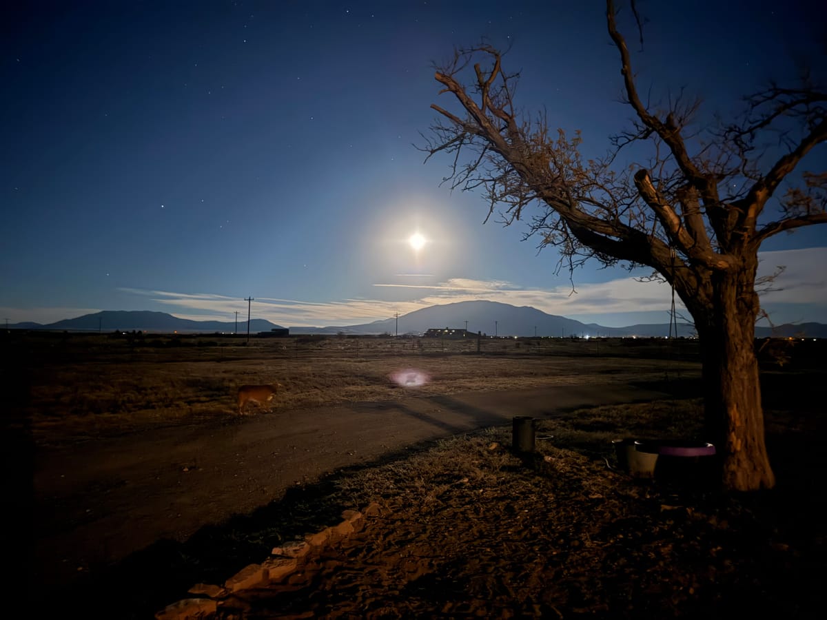 Market Concerns, CRWV, CRCL, And Much More