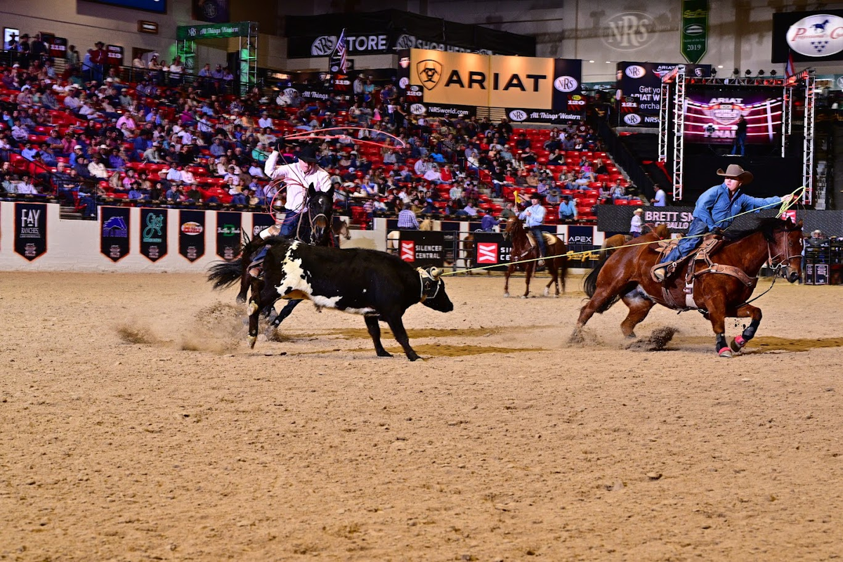 War In Greenland, SpaceX IPO, TSLA Volatility, and Much More