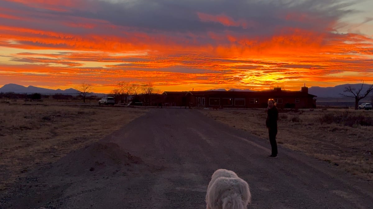 Claude, RAM Shortage, Tariffs, Robotaxis, and Much More