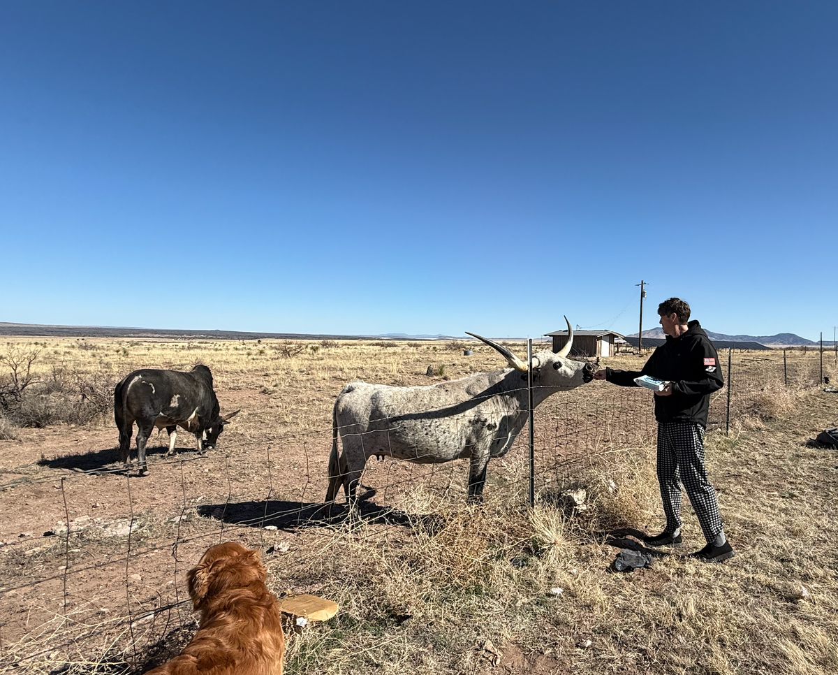 Robotaxi in Vegas, MSFT, Inference, Memory, and Much More