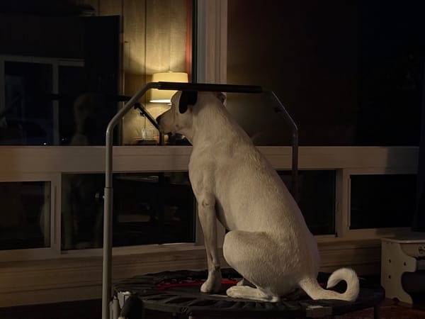 Fast vs Slow Money, TSLA Vote, CRCL, Waymo vs Robotaxi, and Much More