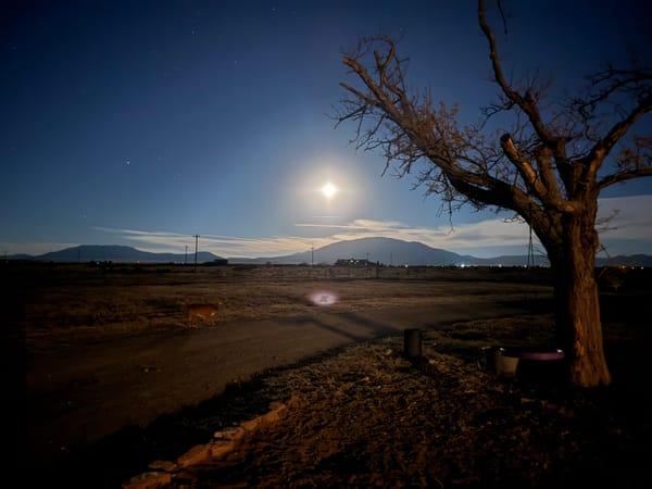 Market Concerns, CRWV, CRCL, And Much More