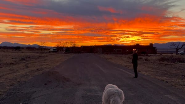 Claude, RAM Shortage, Tariffs, Robotaxis, and Much More