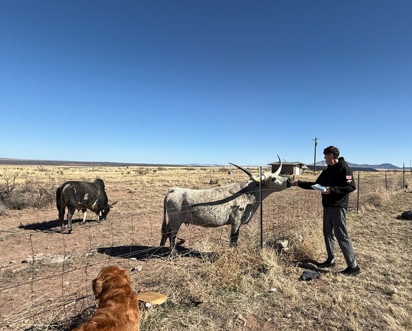 Robotaxi in Vegas, MSFT, Inference, Memory, and Much More